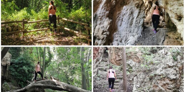 La Cabrentà de Estubeny, una pequeña selva mediterránea en la provincia de Valencia