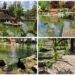 El Parque de los Morerales de Ayora, un pequeño lago lleno de patos y ocas