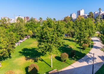 ¿Sabías que el Jardín del Turia de Valencia está considerado el mejor parque urbano de España?