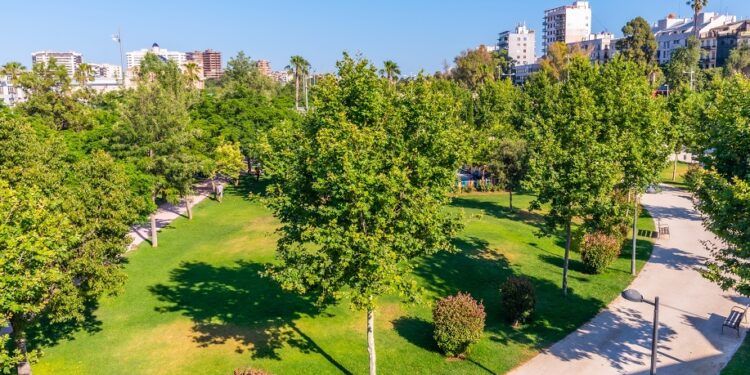 ¿Sabías que el Jardín del Turia de Valencia está considerado el mejor parque urbano de España?
