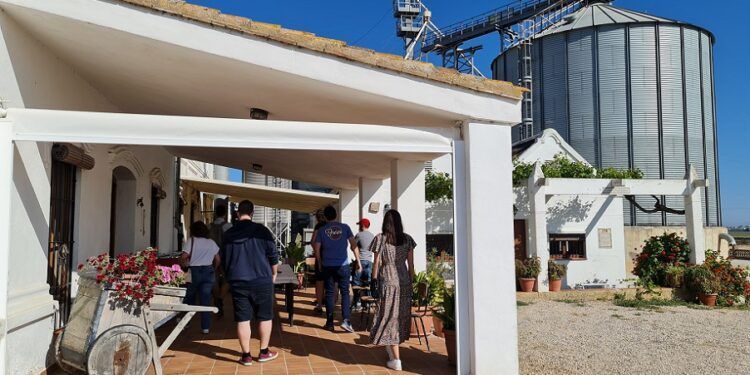 Nace el Templo de la Cultura del Arroz, una iniciativa para dar a conocer el mundo del arroz