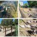 El Parc la Palanqueta, un rincón lleno de patos en Canals