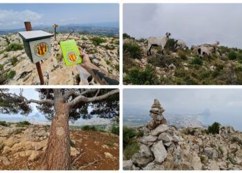 El Sender al Cim d’Oltà (PR-CV 340), bella ruta por el Cim de la Mola, El Pinet y el Cim d’Oltà