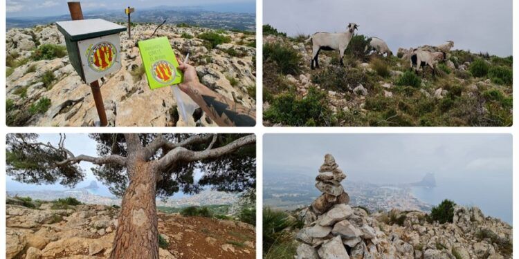 El Sender al Cim d’Oltà (PR-CV 340), bella ruta por el Cim de la Mola, El Pinet y el Cim d’Oltà