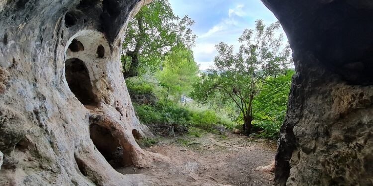 La Cova del Puntal del Gat de Benirredrà, un yacimiento del Paleolítico medio, abandonada