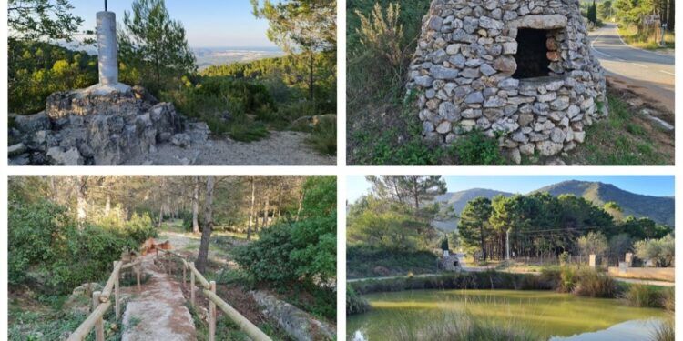 La Llacuna de Villalonga, un pequeño paraje natural digno de visita