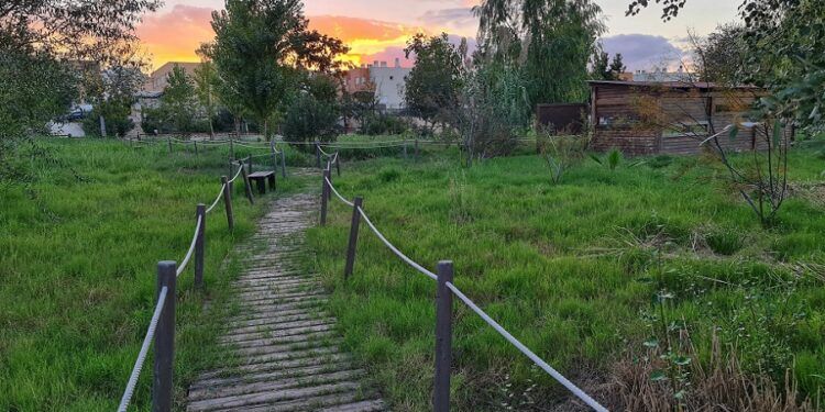El Ullal del Bovetar, el pequeño tesoro natural de Guardamar de la Safor