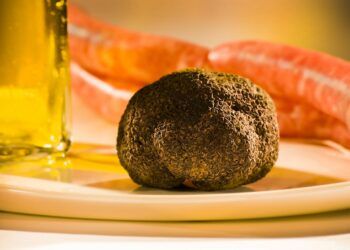 Vuelve la Feria de la trufa de El Toro: tres días dedicados al diamante negro de la gastronomía