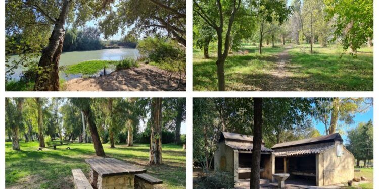 Un paseo por la sencilla ruta del área recreativa La Xopera y el PNM Bosc de Ribera de Algemesí