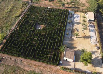 El Laberinto del Lago de Anna, el laberinto vegetal más grande de la Comunitat Valenciana