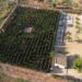 El Laberinto del Lago de Anna, el laberinto vegetal más grande de la Comunitat Valenciana