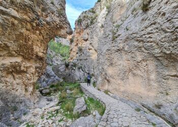 La bella ruta del Barranc del Cint, el Alt de les Pedreres y el Mirador de las Buitreras de Alcoy