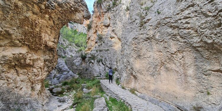 La bella ruta del Barranc del Cint, el Alt de les Pedreres y el Mirador de las Buitreras de Alcoy