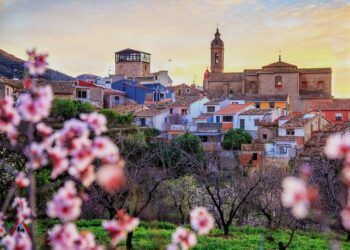 Alcalalí celebra la 6ª edición de «Feslalí» bajo el lema #AlcalalíSenseFlor
