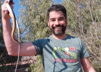 Charly, el «cazaserpientes» valenciano que lleva más de 25 años salvando fauna autóctona