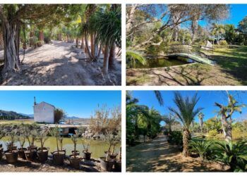 El Jardín Botánico de Cullera, un pequeño oasis secreto a las afueras de la población