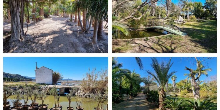 El Jardín Botánico de Cullera, un pequeño oasis secreto a las afueras de la población