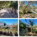 El Jardín Botánico de Cullera, un pequeño oasis secreto a las afueras de la población