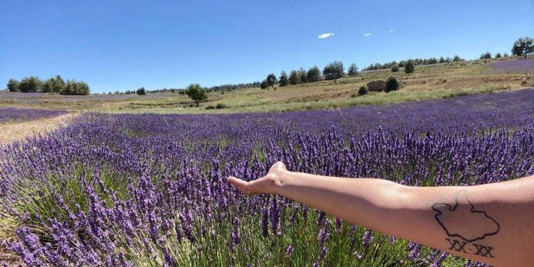 Ademuz contará esta semana con un mercado de productos artesanos y exposiciones temáticas