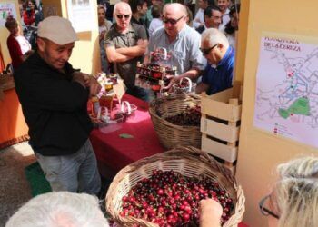 La Feria de la Cereza de Caudiel contará con artesanía, gastronomía, actividades y folklore