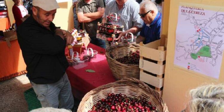 La Feria de la Cereza de Caudiel contará con artesanía, gastronomía, actividades y folklore