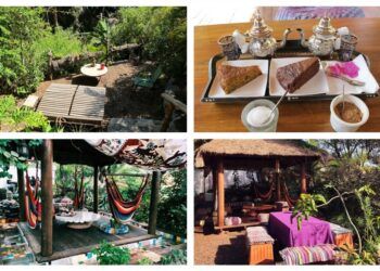 El Jardín de los Sentidos de Altea, una «tetería botánica» en la que relajarte en su jardín tropical