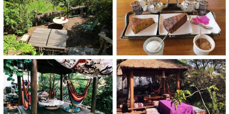 El Jardín de los Sentidos de Altea, una «tetería botánica» en la que relajarte en su jardín tropical