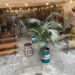 Zero11 Craft Beer Bar, el local de cervezas artesanales del Cabanyal, celebra su Oktoberfest