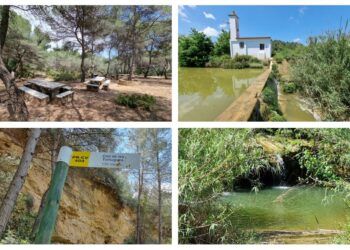 El Clot de les Tortugues, la bella área recreativa de Picassent con una poza llena de tortugas