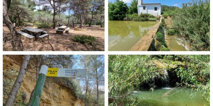 El Clot de les Tortugues, la bella área recreativa de Picassent con una poza llena de tortugas