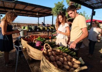Villa Indiano, un restaurante y jardín cultural en la huerta de Burjassot, amplía horarios de apertura