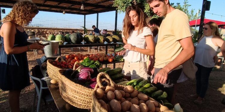 Villa Indiano, un restaurante y jardín cultural en la huerta de Burjassot, amplía horarios de apertura