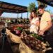 Villa Indiano, un restaurante y jardín cultural en la huerta de Burjassot, amplía horarios de apertura