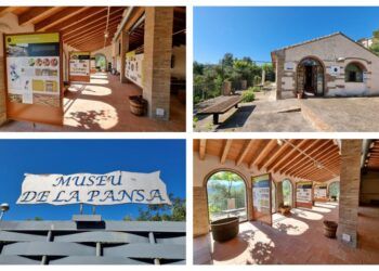 El Museu de la Pansa de Ròtova, un riurau convertido en un museo sobre la cultura de la pansa