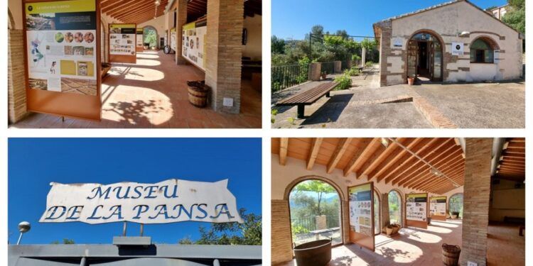 El Museu de la Pansa de Ròtova, un riurau convertido en un museo sobre la cultura de la pansa