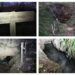 Los Ojos del Prao, un curioso «río» de aguas subterráneas en Viver