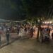 Viver vuelve a celebrar el WineFest, el gran festival de vinos de la Cooperativa de Viver