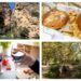 Un otoño de gastronomía, naturaleza y cultura en la Mancomunidad La Hoya