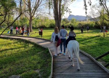 Los mejores planes para hacer con niños y en familia en la comarca de La Safor