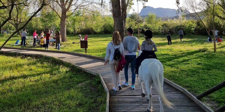 Los mejores planes para hacer con niños y en familia en la comarca de La Safor