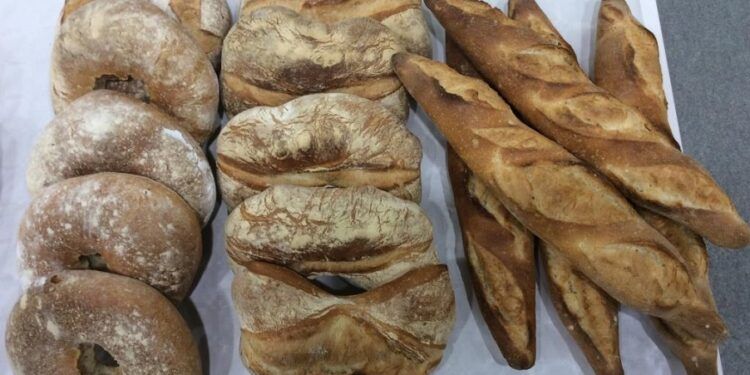 Ya hay ganadores del concurso de Panes Tradicionales y Panes Especiales de 2022 de Valencia
