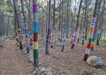 El Bosque Encantado de Zarra, un pequeño rincón zarrino lleno de magia