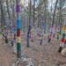 El Bosque Encantado de Zarra, un pequeño rincón zarrino lleno de magia