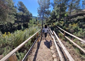 El Jardín Botánico de la Estación Biológica de Torretes, un bello rincón digno de visita en Ibi