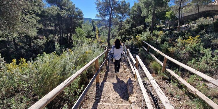 El Jardín Botánico de la Estación Biológica de Torretes, un bello rincón digno de visita en Ibi