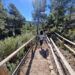 El Jardín Botánico de la Estación Biológica de Torretes, un bello rincón digno de visita en Ibi
