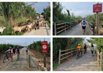 La Vía Verde de Dénia y la Torre de l’Almadrava, una sencilla ruta para hacer en familia