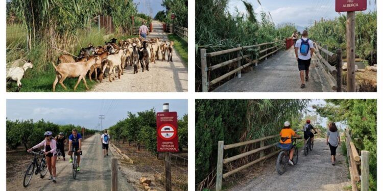 La Vía Verde de Dénia y la Torre de l’Almadrava, una sencilla ruta para hacer en familia