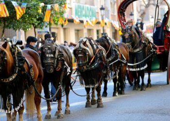 El barrio de Sagunto de Valencia celebra su tradicional porrat y bendición de animales