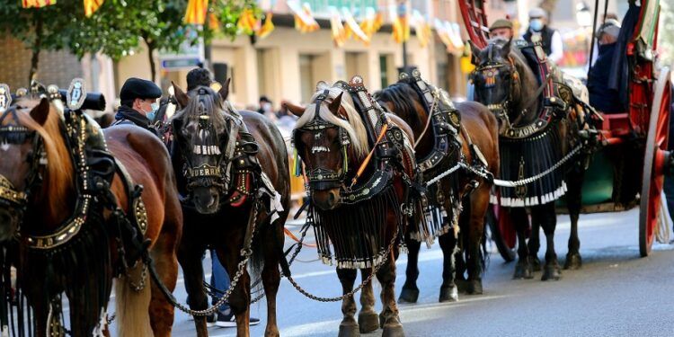 El barrio de Sagunto de Valencia celebra su tradicional porrat y bendición de animales